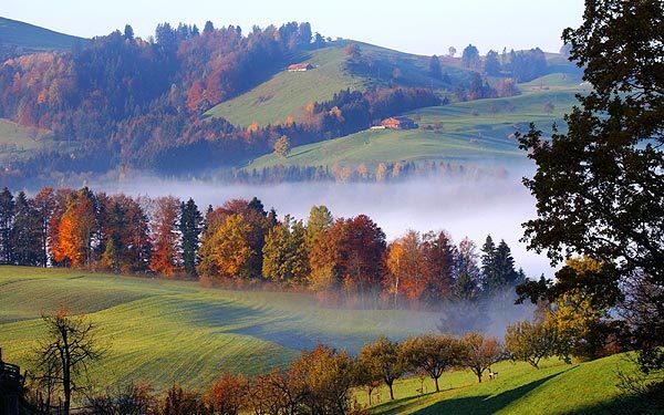 網(wǎng)站內(nèi)容測試，請及時刪除！