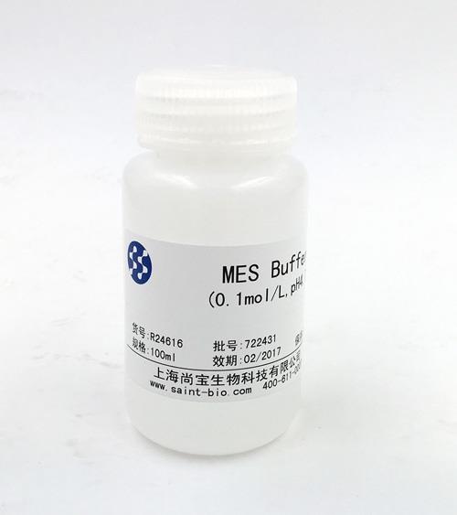 MES Buffer(0.1M,pH=4.7)