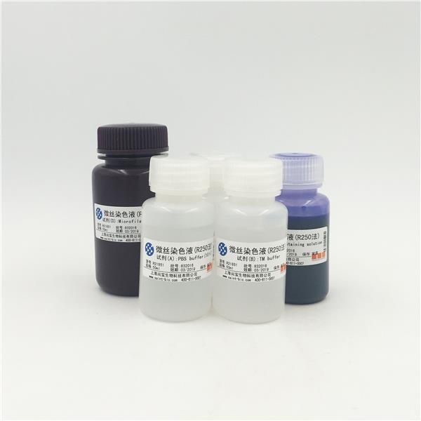微絲染色液（R250法）