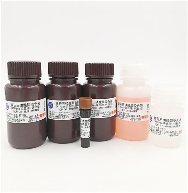 腺苷三磷酸酶染色液（ATPase染色液，鈣鈷法）