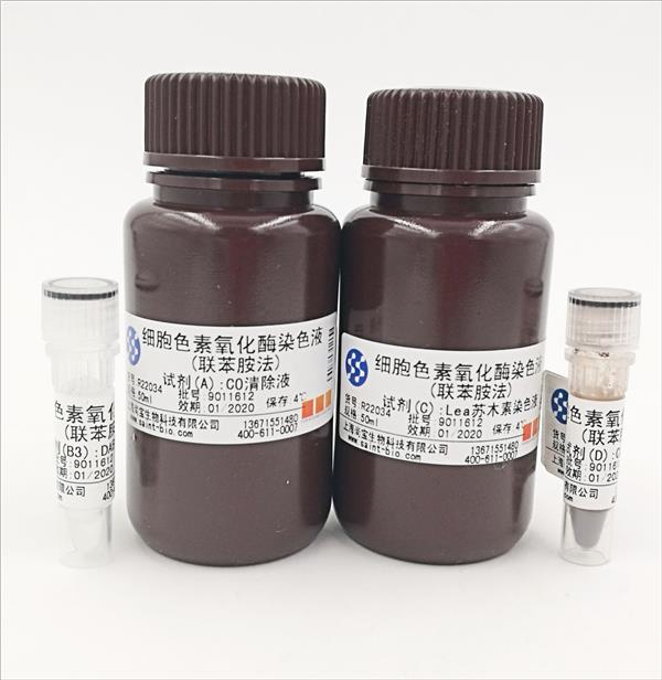 細(xì)胞色素氧化酶染色液（聯(lián)苯胺法）