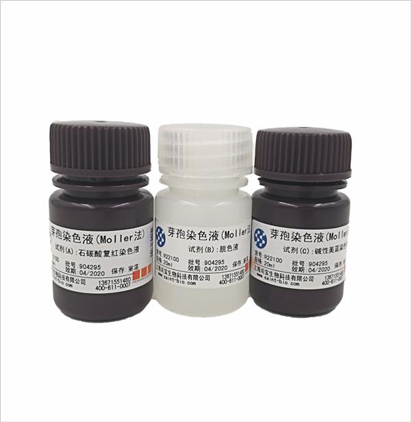 芽孢染色液（Moeller法）