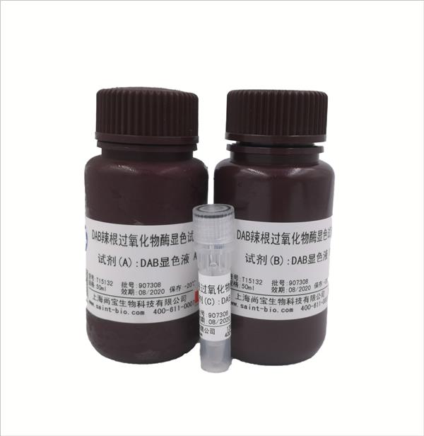 DAB辣根過氧化物酶顯色試劑盒