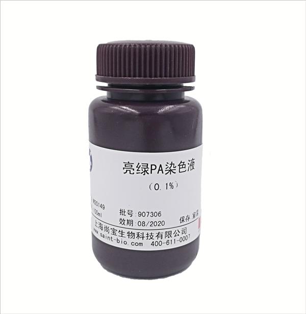 亮綠PA染色液（0.1%）