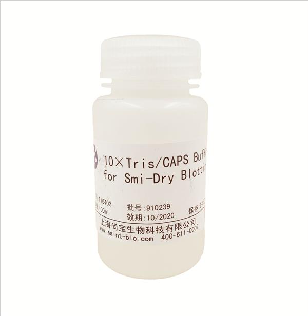 10× Tris/CAPS Buffer for Semi-Dry Blotting