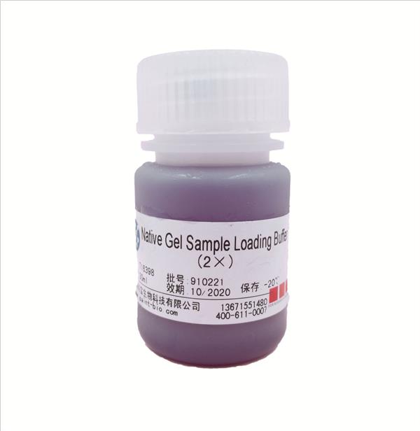 Native Gel Sample Loading Buffer（2×）